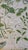 Traditional Schumacher Lotus Garden Leaf Fabric 8 Yards For Sale - Image 3 of 7