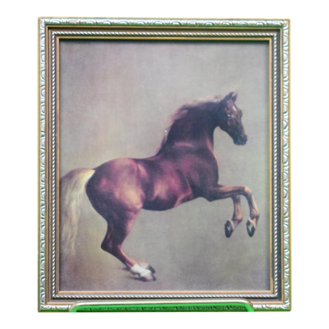 Mid 20th Century George Stubbs Whistlejacket Reproduction Print For Sale