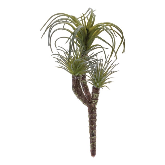 Air Plant Succulent Pick (Set of 6) For Sale