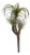 Air Plant Succulent Pick (Set of 6) For Sale