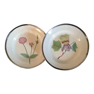 1810 English George III Pearlware Botanical Plates with Hand Painted Specimens & Silver Luster Borders - A Pair