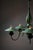 Green Green Chandelier with Shades, Italy, 1940s For Sale - Image 8 of 16
