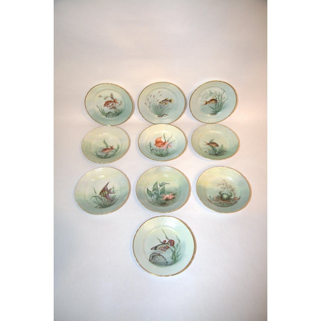 Early 20th Century Bing & Grondahl Custom Hand-Painted & Signed Danish Fish Set- 34 Pieces For Sale In Seattle - Image 6 of 12