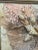 Cream Abstract Mixed Media Coastal Shell & Sea Fan Framed Oil Painting For Sale - Image 8 of 12