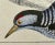 Cream Antique Hand Colored Bird Print From England Showcasing Several Varieties of WoodPeckers - Circa 1850 For Sale - Image 8 of 12