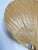 Ingo Maurer Vintage Uchiwa III Wall Lamp in Bamboo by Ingo Maurer for M-Design, Germany, 1970s For Sale - Image 4 of 12