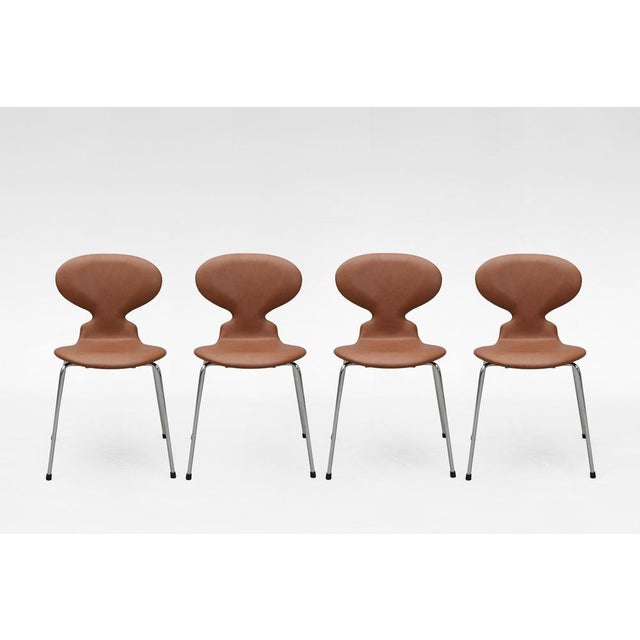 Vintage Series 7 chairs, Model 3107, designed by Arne Jacobsen for Fritz Hansen in Denmark, 1960s. Upholstered in warm...