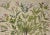 This is a hand-colored copper-plate engraving entitled "Gelsiminum Catalonicum, Mairana Latifollia, Euphasiaramosa...