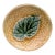 Etruscan Majolica Begonia Leaf Butter Pat, Circa 1890 For Sale