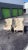 Hollywood Regency Pair of 1940s Unique Scrolled Arms Attributed to Grosfeld House For Sale - Image 3 of 3