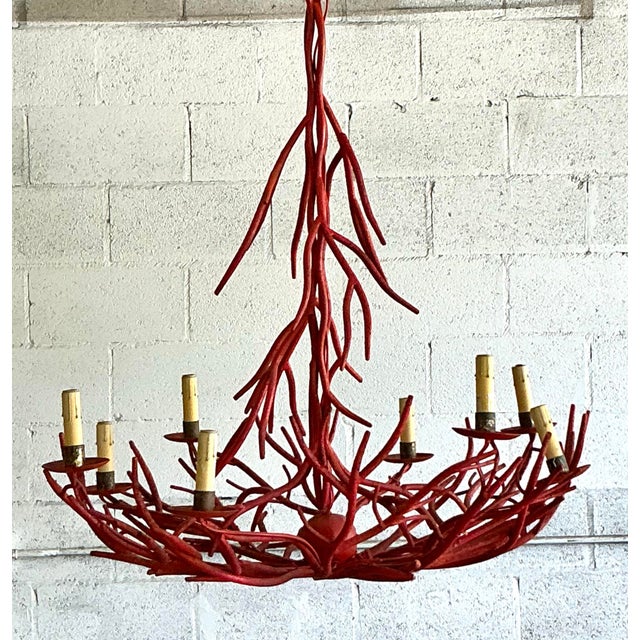 Vintage Coastal Coral Branch Chandelier For Sale - Image 10 of 12