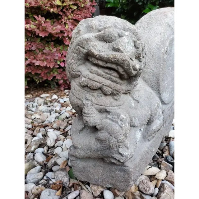 Rare Antique Tibetan Buddhist Ancient Temple Snow Lion & Wheel Architectural Ornament For Sale - Image 9 of 11