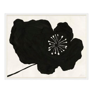 Hellebores (var. 2) by Susan Hable, White Frame For Sale