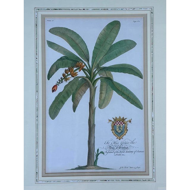 Vintage Crested Palm Etchings - A Pair For Sale - Image 4 of 12