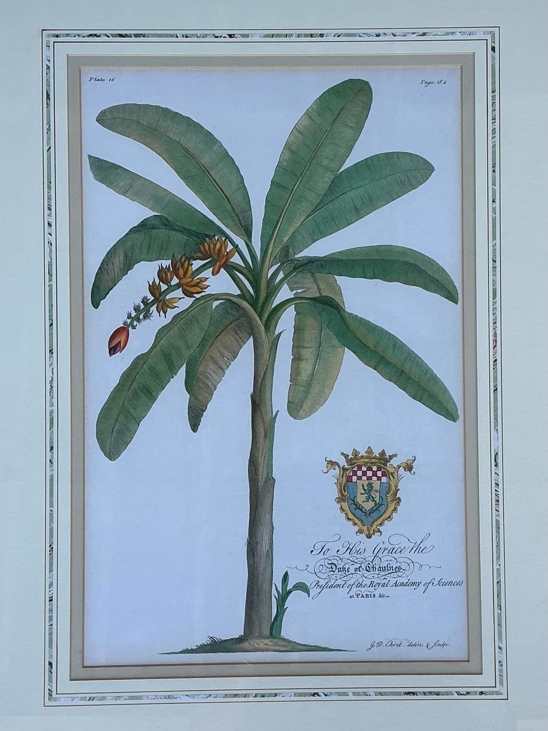 Vintage Crested Palm Etchings - A Pair - Back view