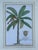 Vintage Crested Palm Etchings - A Pair For Sale - Image 4 of 12
