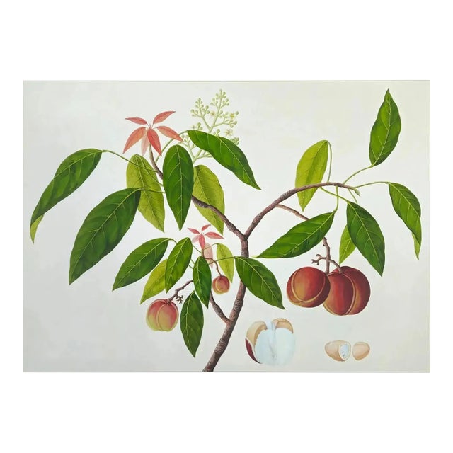 Golden Tropic Botanicals, Giclée Print For Sale