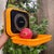 Vintage Swedish Orange Kitchen Scale for Wall Mounting from EKS For Sale - Image 4 of 11
