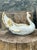 Capodimonte Italian Vintage Porcelain Swan Planter, Vase by Capodimonte. For Sale - Image 4 of 11