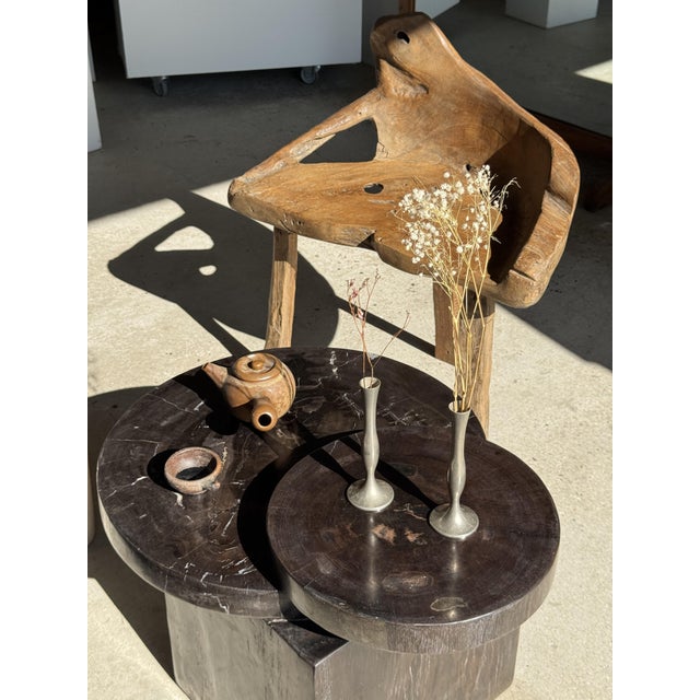 Coffee Table in Brown Petrified Wood with Double Circular Top on Cubic Base, Indonesia, 1980s For Sale - Image 12 of 16