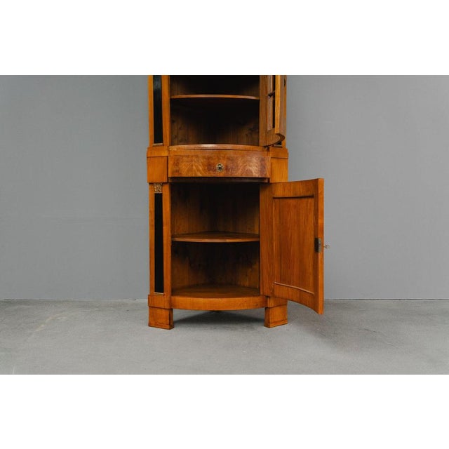 19th Century Biedermeier Corner Display Cabinet For Sale - Image 13 of 18