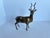 Mid-Century Modern Vintage Mid-Century Modern Brass Antelope / Gazelle Figurine For Sale - Image 3 of 14