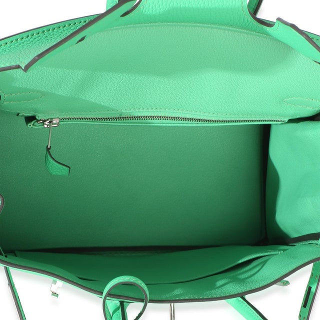 Vert Comics Togo Birkin 25 PHW For Sale - Image 10 of 10
