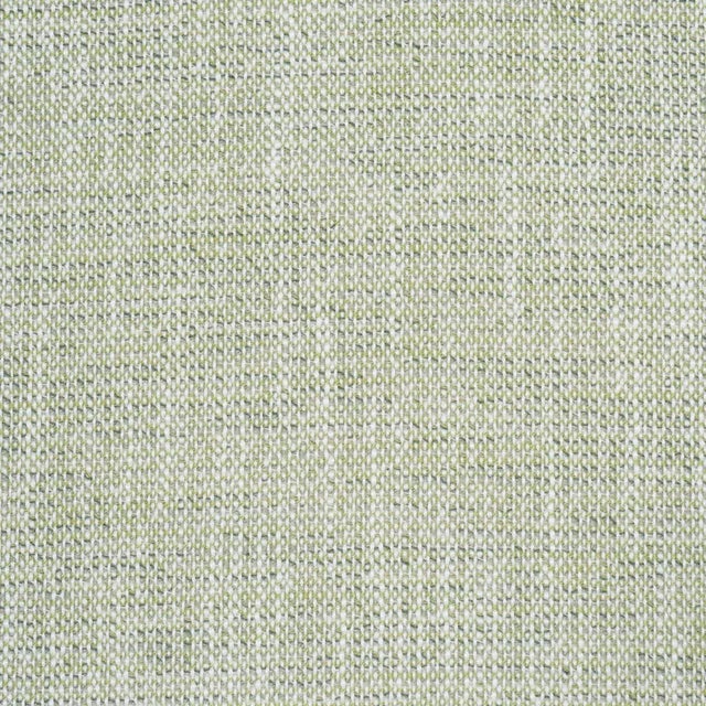 Contemporary SAMPLE - Schumacher Lily Indoor/Outdoor Fabric In Sage For Sale - Image 3 of 3