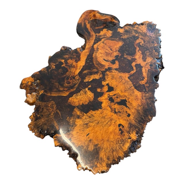 Mid-Century Modern 1970s Organic Burl Wood Live Edge Coffee Table With Sculptural Root Base For Sale - Image 3 of 8