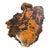 Mid-Century Modern 1970s Organic Burl Wood Live Edge Coffee Table With Sculptural Root Base For Sale - Image 3 of 8