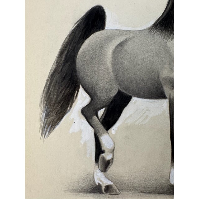 American 1950s Original Signed Graphite Illustration of Prancing Horse Study, 11.75 X 9 In. For Sale - Image 3 of 6