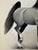 American 1950s Original Signed Graphite Illustration of Prancing Horse Study, 11.75 X 9 In. For Sale - Image 3 of 6