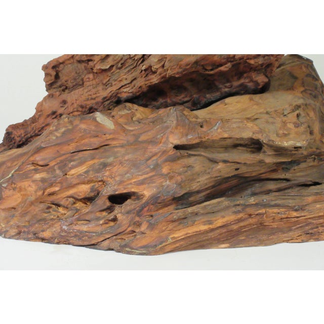 1960s Driftwood Sculpture For Sale - Image 4 of 13