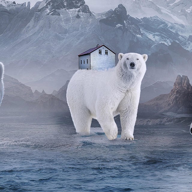 Contemporary Lost in the Ice by Marcin Owczarek | Photography of polar bears in a surreal icy landscape For Sale - Image 3 of 4