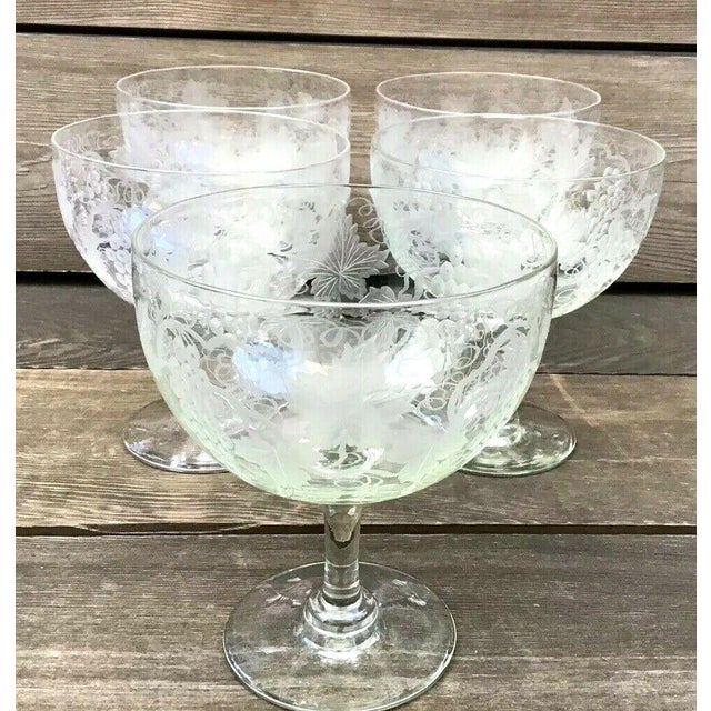 Etched Crystal Grapevine Design Dessert Glasses Set of 5 Chairish