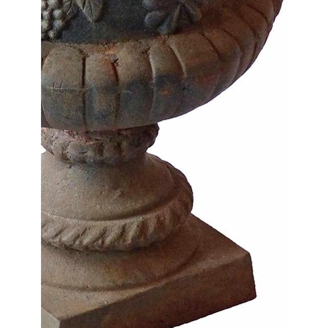 Vintage Victorian style cast iron garden urn with ribbed bowl, egg-and-dart border, and handles. The urn has a grapevine...