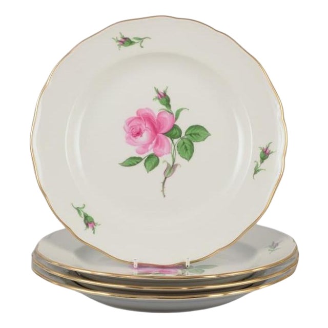 German Dinner Plates from Meissen, 1920s, Set of 4 For Sale
