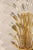 Barovier & Toso 1960s Barovier & Toso Murano Glass Sconce For Sale - Image 4 of 8