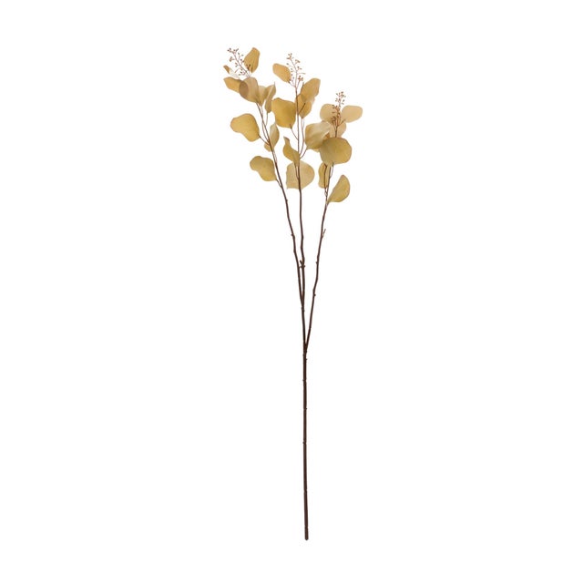 Bring the beauty of nature into your home with this stunning Seeded Eucalyptus Stem Set. With elegant 38" stems, this set...