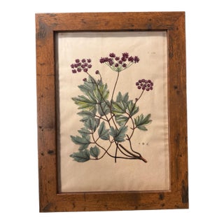Antique Custom Rustic Country Framed Botanical Flower Print For Sale
