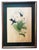 Set of two beatiful 19th-century hand-colored lithographs framed in gold leaf and with a green passe-partout. "j. Gould &...