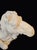 Hollywood Regency Large Vintage Plaster Camel Palm Beach Regency Garden Stool For Sale - Image 3 of 11