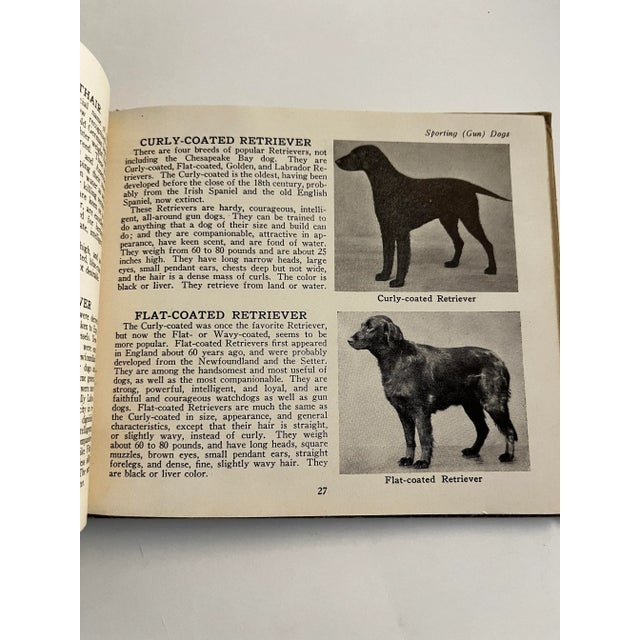 1934 the Book of Dogs For Sale - Image 10 of 12