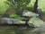 Lilies captures a serene natural scene, where soft greens and muted earth tones blend harmoniously to evoke a tranquil...