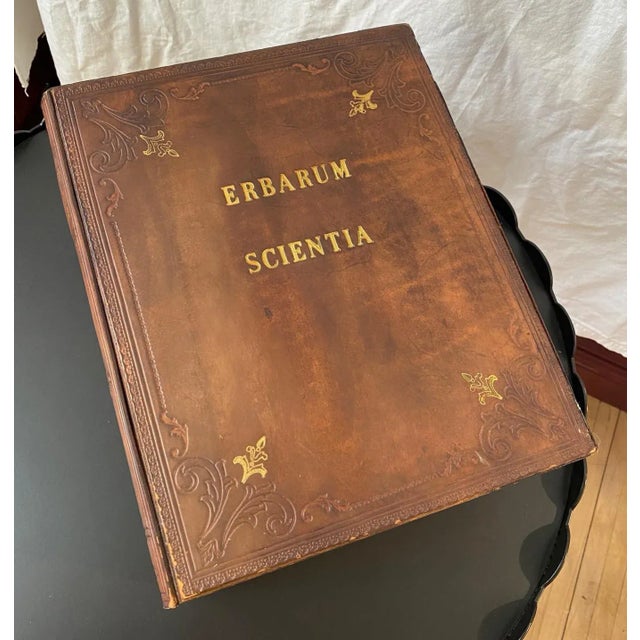 Sarreid Hidden Decanter Box. Faux leather bound set of books with "Erbarum Scientia" on the outside. No decanters inside....