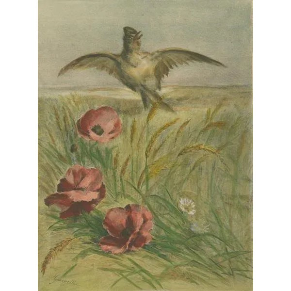 Late 19th Century Giacomelli, Lark Among Poppies, 1891, Print For Sale - Image 5 of 7