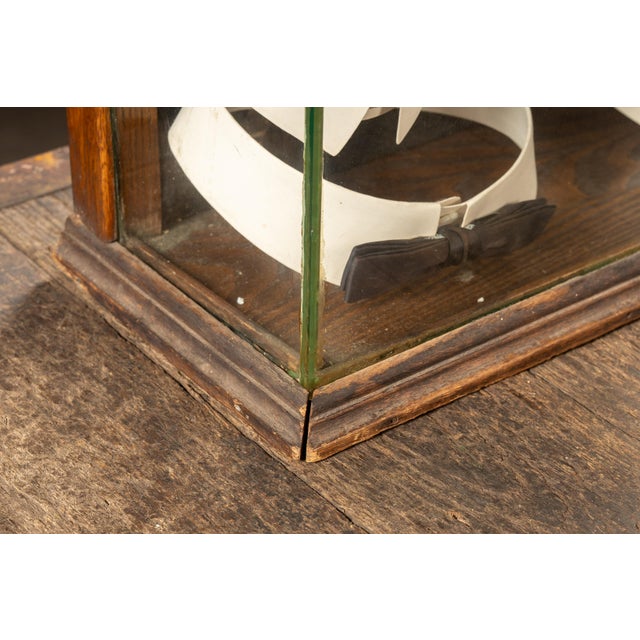 Early 20th C. Philadelphia Haberdashery Collar Display Case For Sale - Image 10 of 13