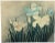 An original mid-20th-century watercolour painting, Circle of Lowell Blair Nesbitt, Blue & White Iris Flowers 2.This...