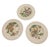 Cauldon Set of 12 Antique Cauldon Ltd. England Botanical Porcelain Plates, Circa 1905–1920 For Sale - Image 4 of 12