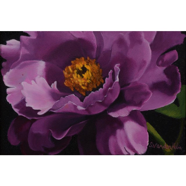A vibrant purple peony fills the canvas, its lush petals capturing the warmth of sunlight with a rich interplay of light...